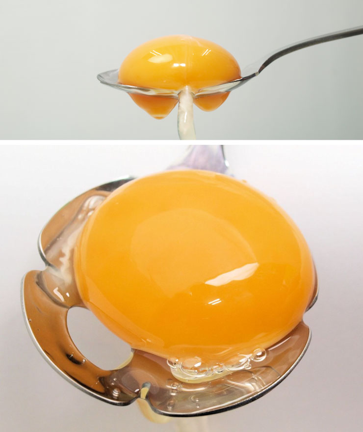 �������4�Ĥη�ǲ��Ȥ�ۡ���ɤ���Τ���Ȥ������ñ����Ȥ��ޤ�