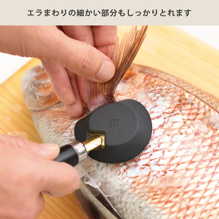 �إåɤ��������ΤǾ���꤬�������Ȥ˱�碌�䤹���������ն���ڤ�Ĥ������ޤ�