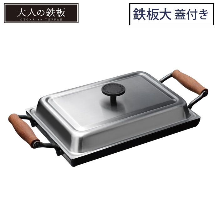 ͤŴ Ŵ ѳդ OTS8111,