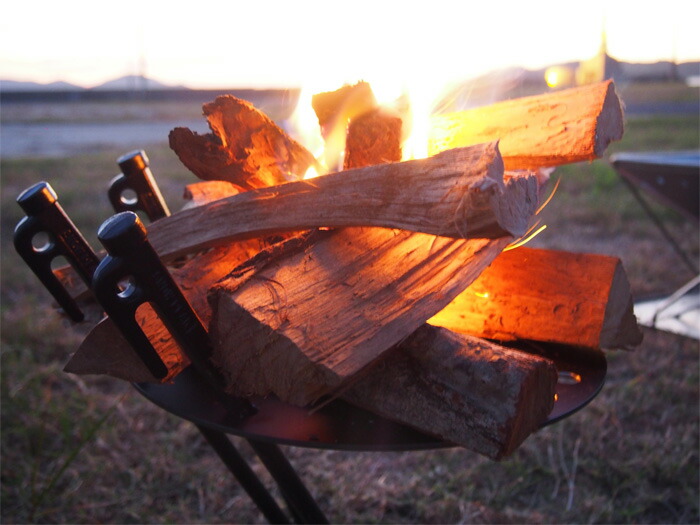 sons,COCOpan,ѥ,ɥ,C109-001,С饤,