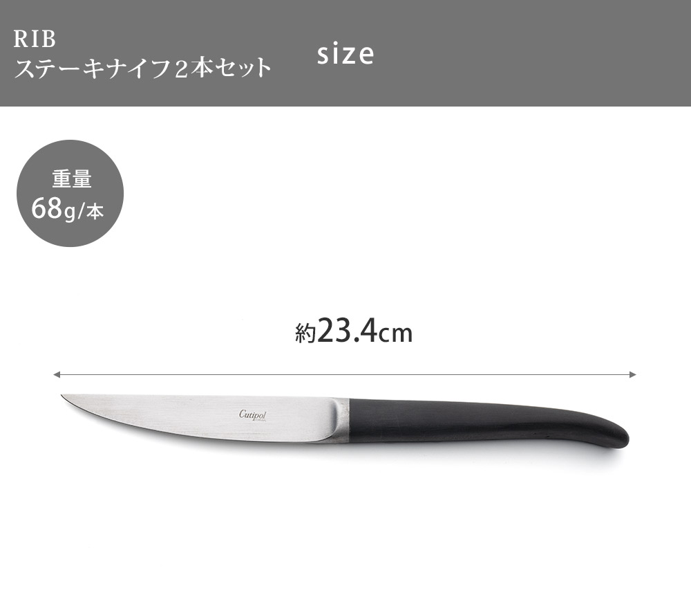 ��� ���ơ����ʥ���2�ܥ��å� ���եȥܥå������� RIB.2