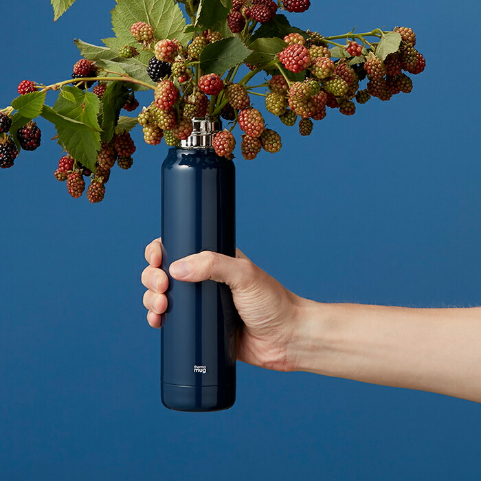 �ޤ���߻��򥤥᡼����������ץ�ǥ�����ο�����Ǯ2�Ź�¤�ܥȥ�