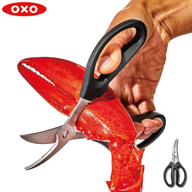 ,աɥХ,OXO,11350600