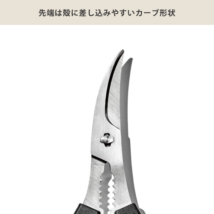 üοϤϳ̤˱äƺळȤǤࡼ˥åȤǤޤ