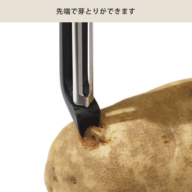 ��ü�ˤϥ��㥬����β���⤢��ޤ�