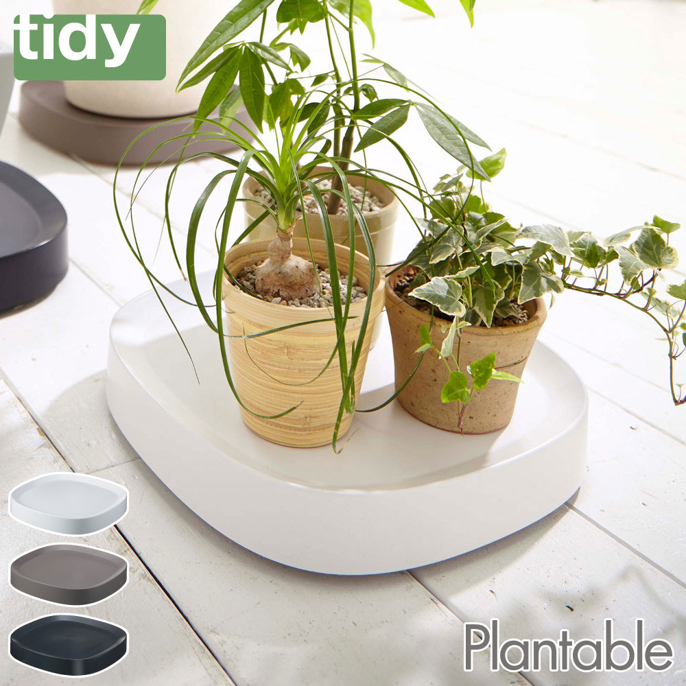 ティディ プランタブル 植木鉢トレイ キャスター付き tidy Plantable アッシュコンセプト テラモト【台車 鉢皿 26cm 鉢 スタンド 角型 トレー プランタースタンド 観葉植物 鉢台 受け皿 室内 インテリア】 ホワイト