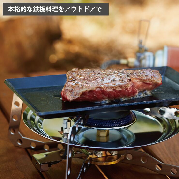 ���������פˤԤä���ʥ���ѥ��ȥ������Υ�ե����դ��ⲽŴ��