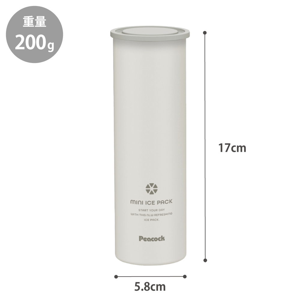 ミニアイスパックはスリムサイズで持ち運びに便利な定番サイズ