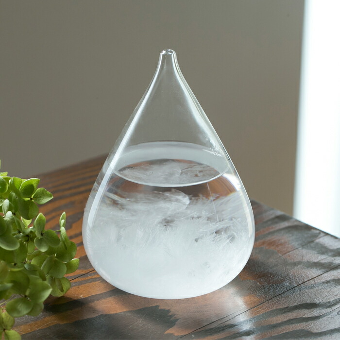 TEMPO DROP MINI,ƥ ɥåץߥ,100percent,ȡ॰饹