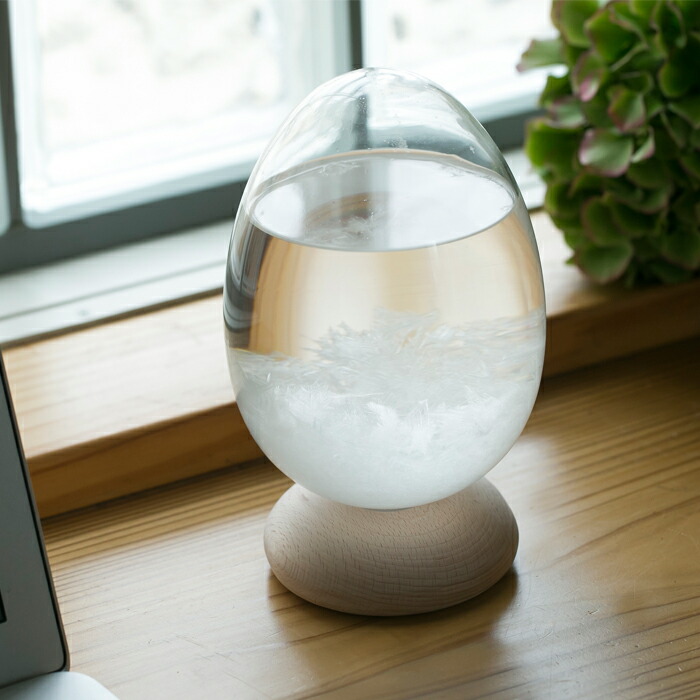 TEMPO PULSE DAWN,�ƥ�ݥѥ륹,���ꥢ,100percent,���ȡ��॰�饹