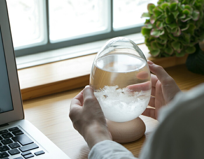 TEMPO PULSE DAWN,�ƥ�ݥѥ륹,���ꥢ,100percent,���ȡ��॰�饹